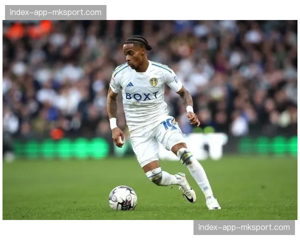 特写：伤愈复出的利兹联前锋萨默维尔，如何在压迫体系中扮演第一道防线