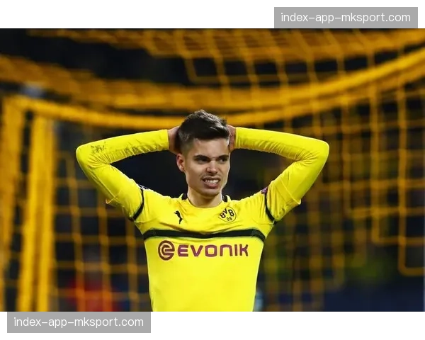 多特蒙德计划建设多功能体育馆，预计投资1500-2000万欧元